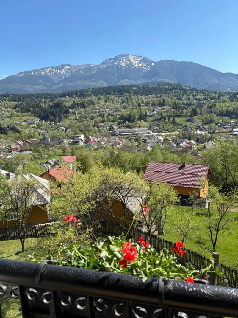 Mușcate roșii pe balcon și valea Borșei