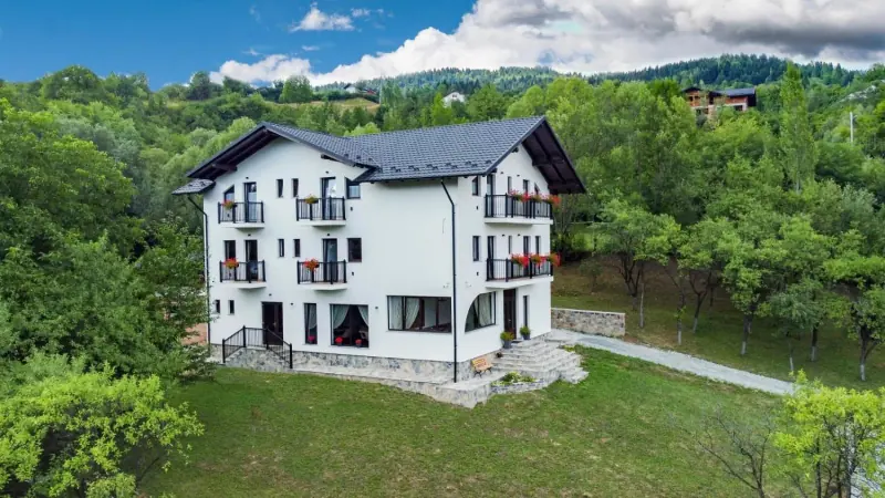 Pensiunea văzută de sus: casa albă între copaci, cu pădurea în spate