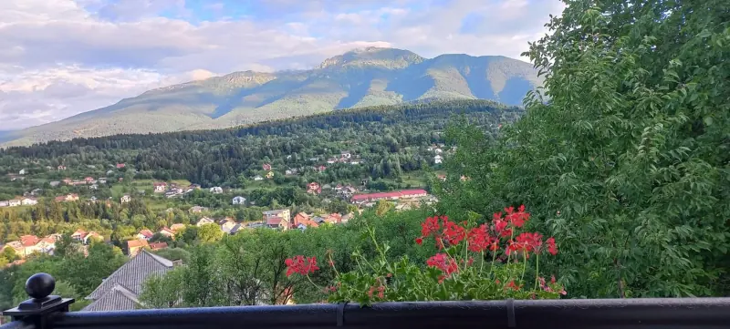 Muntele și pădurile de deasupra Borșei, în panoramă